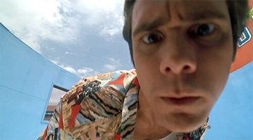 Последним, кого увидела в своей жизни фотоловушка, был хозяин тайги