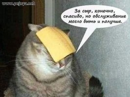 Готов порвать за колбасу