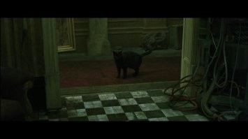 Вот сбой в матрице, остальное воображение.