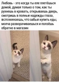 Нее, это просто жалость. Сначала забыл, потом вспомнил и пожалел.
Любовь - это когда ты никогда, ни при каких обстоятельствах, хоть весь мир рушится, не забудешь о том, кто тебя ждёт.