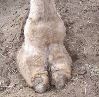 Смешные комментарии из соц.сетей