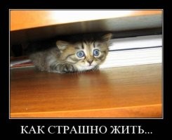 Опасные болезни подъездов многоэтажек