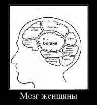 Все к лучшему
