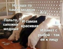 Смешные и познавательные картинки