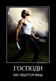 Смешные комментарии из соц.сетей