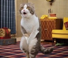 Опасные болезни подъездов многоэтажек