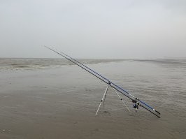 Рыбачил как то на пляже , холодрыга но солнце светит просто прекрасный штиль , все ходят в куртках укутанные в шапках , одна проходит по моему из Франции и говорит вы своими удочками весь пляж заняли и внимание она шла в белом купальник , пришлось ответить что длина бельгийского пляжа составляет 67 километров и вы специально шли из Франции что бы мне сказать о том что я здесь 2 удочки поставил ? , фыркнула что то и пошла дальше :) фото того для правда сделано в 7 утра .