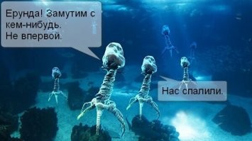 Учёный объяснил последствия бессимптомного течения коронавируса у супер-распространителей