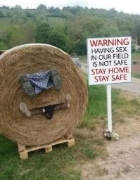 Смешные и познавательные картинки