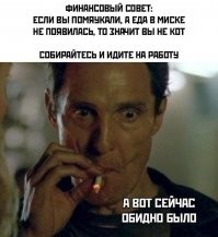 А что если вместо еды появится Шариков?