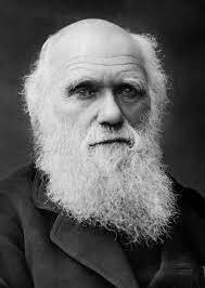 Эти люди хотят казаться круче, чем они есть&nbsp;