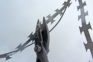 Колючка не преграда