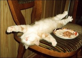 Кто-то слишком много ест