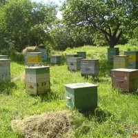 Да у него в саду вот это, а он до сих пор не вдупляет