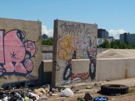 Свиньи есть везде. У нас, на Васильевском острове, после стройки намыва организовался стихийный пляж. В принципе место неплохое выйти в выходные посидеть у воды. Но засрали целиком и полностью. Брошенные бутылки, брошенные мангалы, пакеты с мусором. И что поражает-народ вообще ни хера не думает-о том, что сами в следующие выходные сюда пойдут, и будут сидеть среди этих гор мусора.