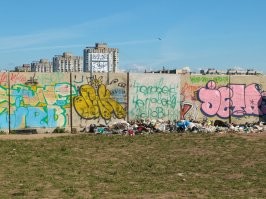 Свиньи есть везде. У нас, на Васильевском острове, после стройки намыва организовался стихийный пляж. В принципе место неплохое выйти в выходные посидеть у воды. Но засрали целиком и полностью. Брошенные бутылки, брошенные мангалы, пакеты с мусором. И что поражает-народ вообще ни хера не думает-о том, что сами в следующие выходные сюда пойдут, и будут сидеть среди этих гор мусора.