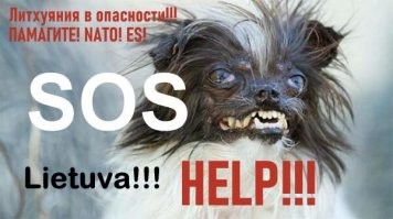 Литва строит забор из колючей проволоки на границе с Беларусью