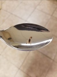 Австралия?)