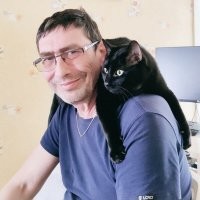 Моего супруга наши мурзики тоже очень любят :)