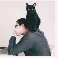 Моего супруга наши мурзики тоже очень любят :)