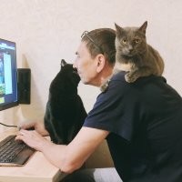 Моего супруга наши мурзики тоже очень любят :)