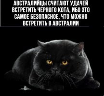 Смешные и познавательные картинки