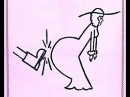 Смешные картинки из соц сетей