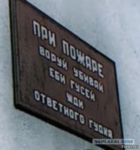 Автомобильный юмор в картинках