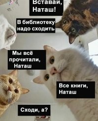 Дамы подрались из-за книги "Альфа-женщина"