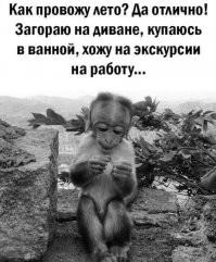 Калейдоскоп отпускных картинок на позитиве