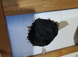 У нас одна кошка любит картонные коробки жрать: вот просто сидит и жрёт, прогрызает большую дыру и принимается за следующую коробку. Самое большое счастье для нас было при переезде - как мы их не накрывали и не ставили, она всё равно выгрызала в них дыры. Ну мы махнули рукой, нравится - пусть жрёт. Пришли строители ремонт делать, смотрят на эти коробки и спрашивают: "А что у вас в квартире крысы есть?". Ага, одна зеленоглазая мяукающая серая мышь :)