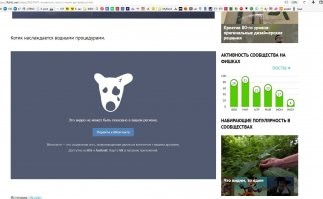 Я не имею вконтакта. Как мне посмотреть котика?