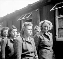 ну и рожи! вот бы лопатой в этот хлебальник залепить...