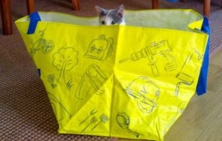 Коробку мне! Коробку!