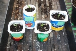 16 идей как&nbsp;можно использовать старые вещи