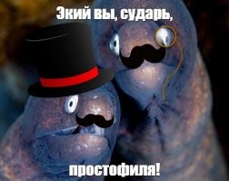 Особенности национальной рыбалки: мужчина из Приморья хотел глушить рыбу, а оглушил весь подъезд