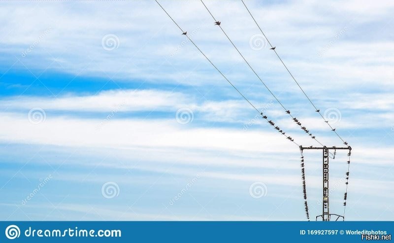 Ой, да пжалста. На деюсь не надо доказывать, что опоры эти не под 220\380.