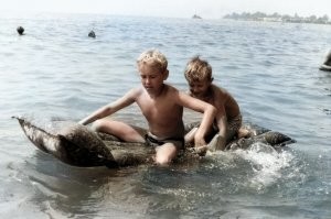 Сухуми. 1978 год