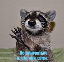 Сами засрались по уши, а на бедного зверюшку свалили.