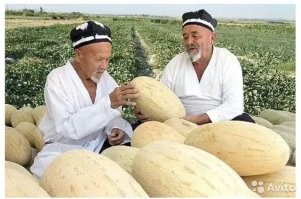 Торпедами поля усыпаны, местные дивятся..