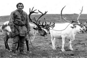 а как же без этих товарищей, которые в минус 50 без шапок могут ходить и при этом мороженое есть из сырого мяса