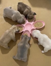 Шестой фотографирует?