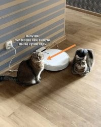 Смотрю на фото, и такое чуство что от Мамы съе.. ался кот и теперь живет в чужой квартире