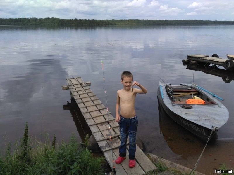 А где именно? В том году в это же время в Свирьстрое (между плотинами) улов был вот таким: