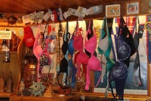 По УкрТВ как-то рассказывали, что единственный бар на территории всей Антарктиды -  бар на украинской антарктической станции.

Туда все туристы приезжают поквасить.  При этом посещающие бар женщины обязаны (?) оставить там какую-нибудь часть из своего нижнего белья. Им там все стенки этого бара обвешаны, судя по репортажу.