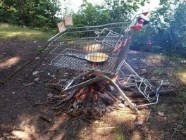 Неправильный у него гриль! Вот с такого бы птичка  не украла мясо!