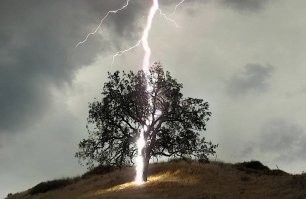 тебе плохо вдолбили!!! нельзя стоять под ОДИНОКОСТОЯЩИМ деревом!!!