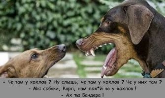 30 лет спустя даже продукты для борща привозные