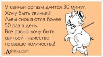 "Если бы не я, то у меня все получилось". Самый ироничный пост на Фишках