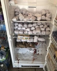 "купил мясо на неделю, а в понедельник сломался холодильник" - таким количеством мяса можно неделю цирковых львов до отвала кормить, холодильник братьев Запашных?